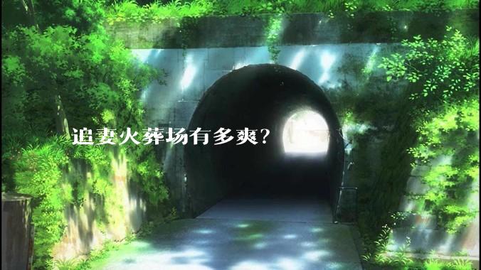 追妻火葬场有多爽？