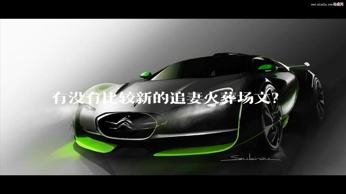 有没有比较新的追妻火葬场文？