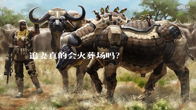 追妻真的会火葬场吗？