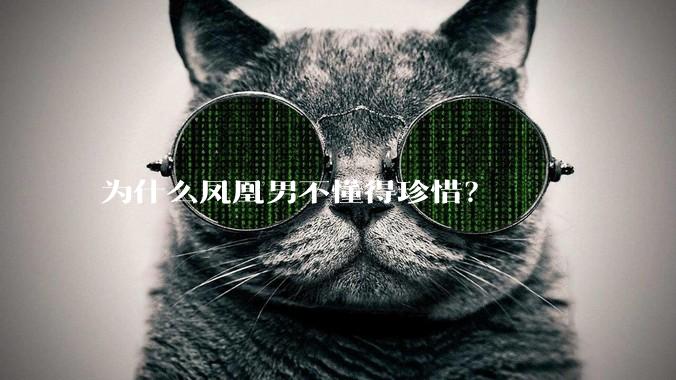 为什么凤凰男不懂得珍惜？